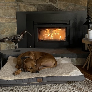 Fundraising Page: Kevin Maloney